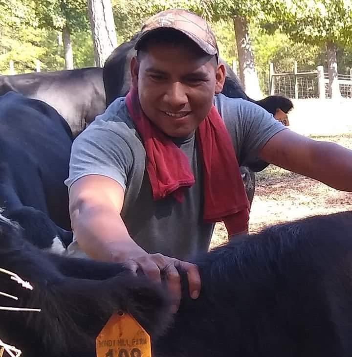 orlando hernandez