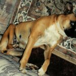 tammy dupree Gallery