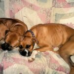 tammy dupree Gallery